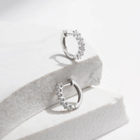 Subtle Elegance Earrings